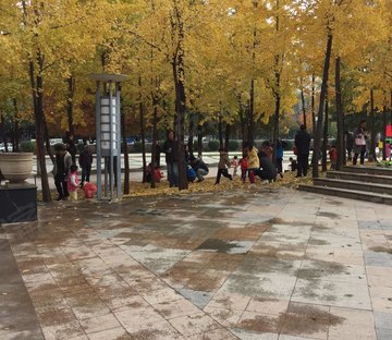 紫薇田园都市F区