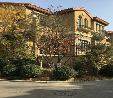 彼岸香醍(西区)