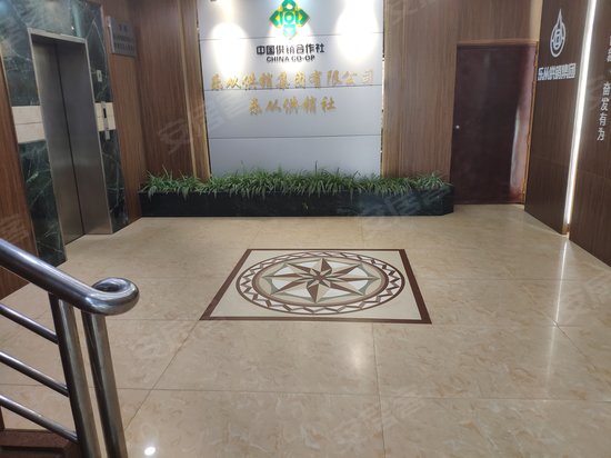 乐从供销社大厦 