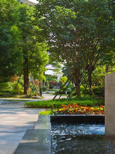 金众西关海(新房)