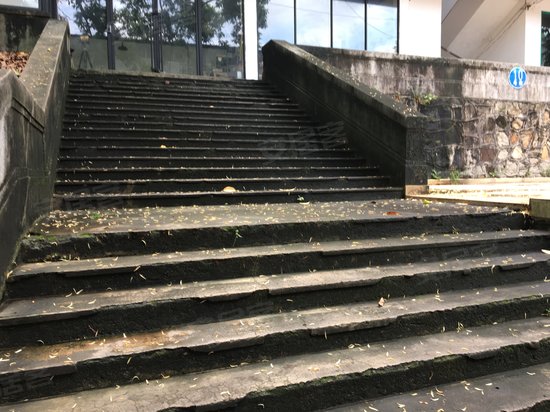 东莞庄路165号写字楼 