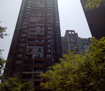 鲁能星城十二街区