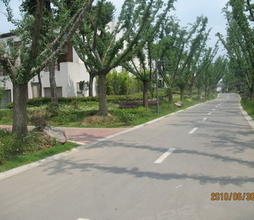 香山湖1号