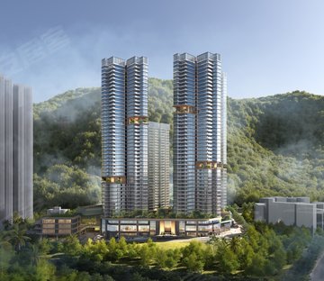 美盛·梧桐印海