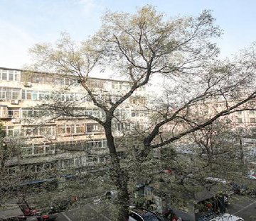 小羊宜宾胡同小区