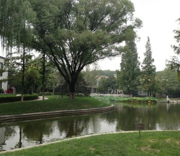 王府园中园(别墅)