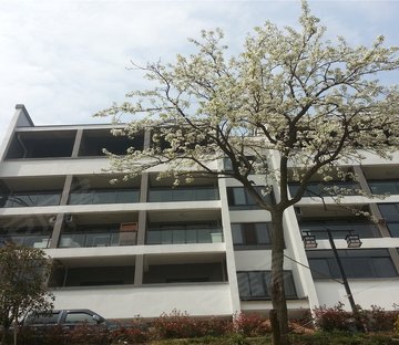 天目山泉林居