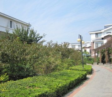 银河花园(别墅)