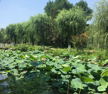 提香草堂(别墅)