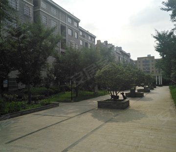 帝豪星港湾(别墅)