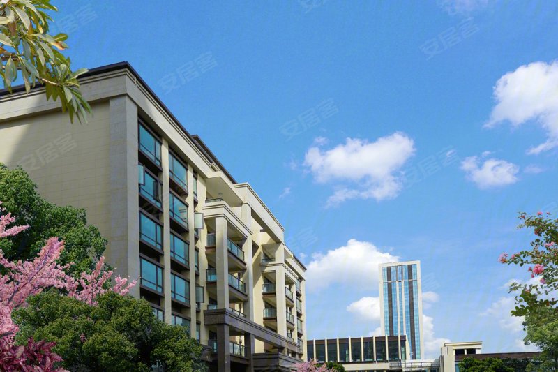 城投置地梧桐栖