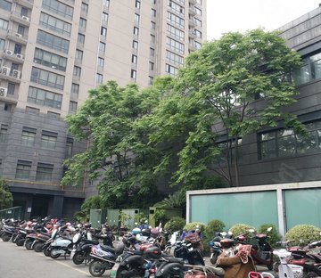 开发区小区图片