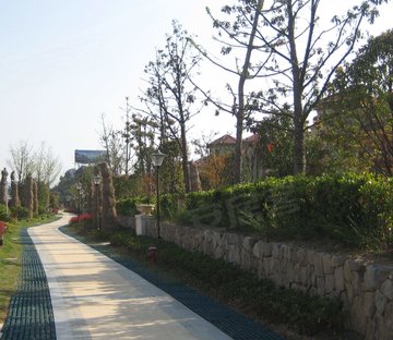 荣正山水半岛(别墅)