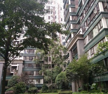神仙树大院