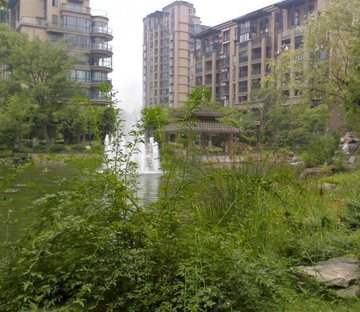 钱江湾小区图片