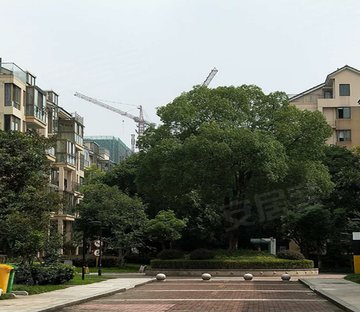 钱塘小区图片