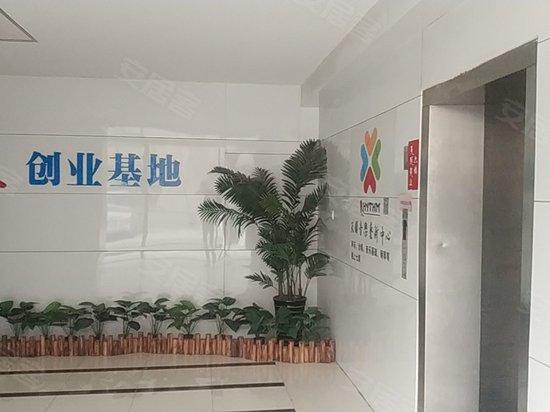 太阳树创意产业园 