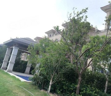 春江美庐(公寓住宅)