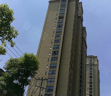 金辉枫尚