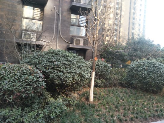 金辉悦府E客公寓 