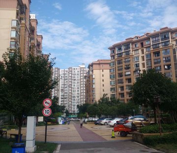 绿洲国际