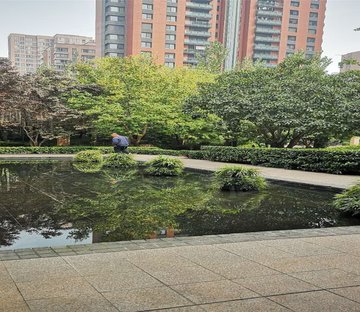 城市风景8号府邸(别墅)