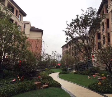 良渚文化村小区图片