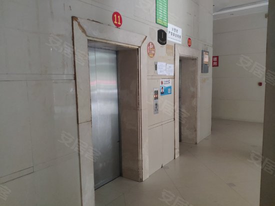 迷你星座水瓶座 