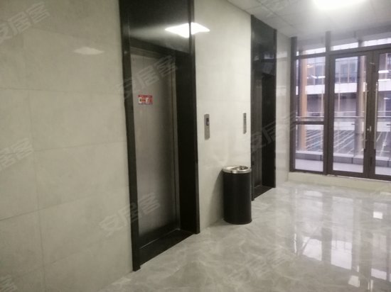 笨鸟科技研发中心 