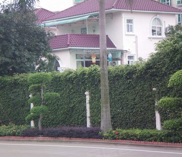 华南碧桂园雅翠苑