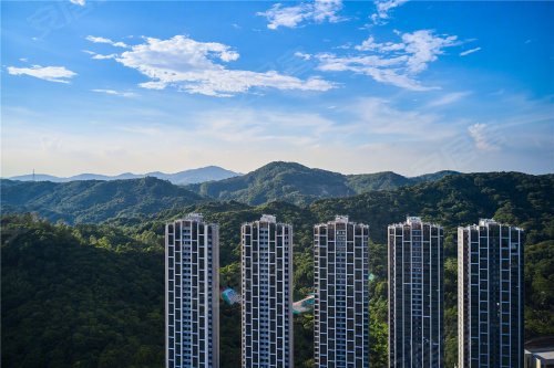 中冶·逸璟台,长岭居永顺大道长岭路以北 - 广州中冶·逸璟台二手房