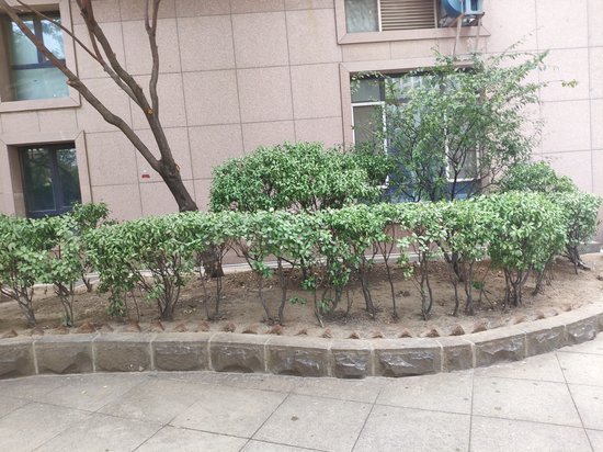 都市海景写字楼 