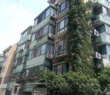 绿地观邸(158弄)