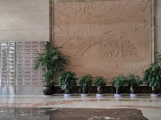 新一代国际公寓 