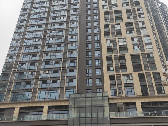 鲁能九龙花园东郡(商住楼) 