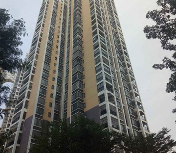 八桂绿城云顶印象