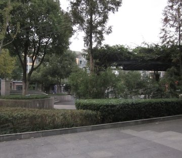 翠屏国际城香樟苑