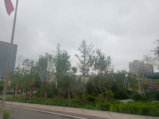 青岛国际发展中心 