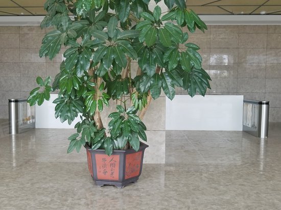 经开国际金融中心(办公) 