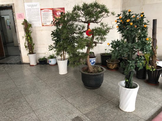 中怡公寓办公楼 