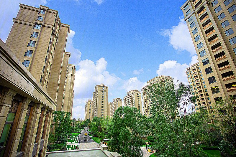 大名城紫金九号