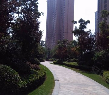 雅居乐中央府(东区)