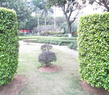 第三金碧花园(联排别墅)