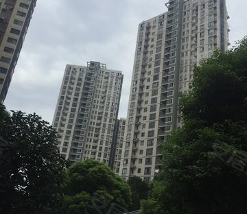 未来家园