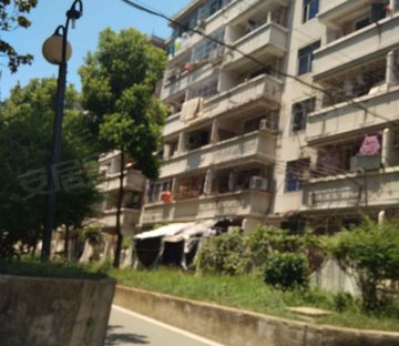 青年小区阳光小区