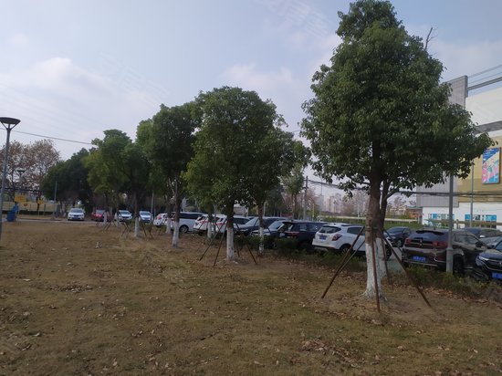 果立达装饰创意园 