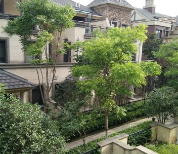 置地广场栢悦府北院