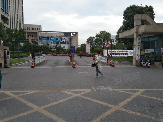 五常西溪软件园金牛座 