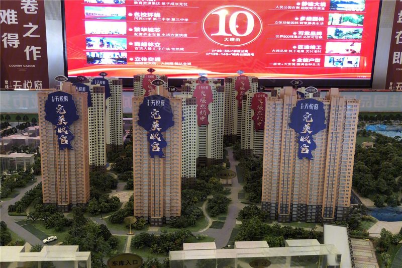 碧桂园天悦府(新房)