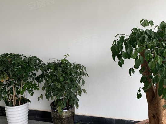 云南先初生物技术开发有限公司综合楼 